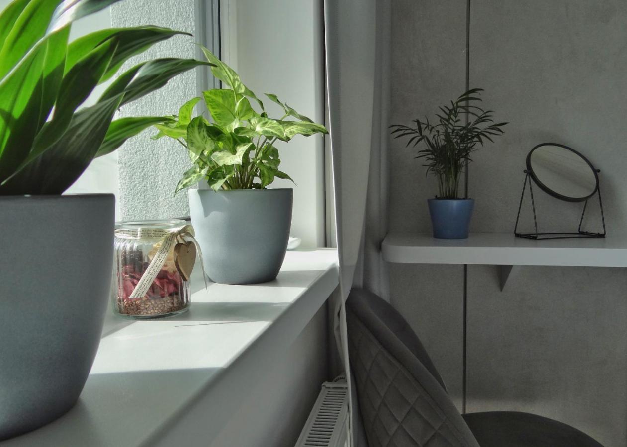 Top Urban Apartment - Free Parking, Green Energy, Modern Style 布拉迪斯拉发 外观 照片